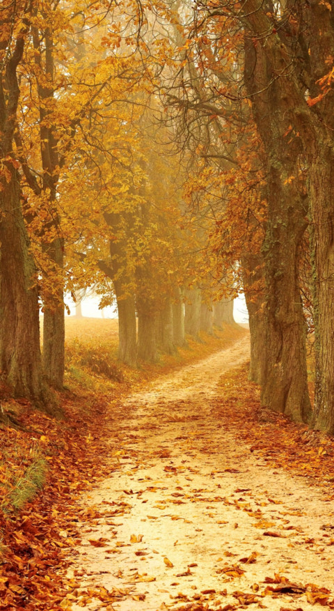 Roads & Pathways (1) preview