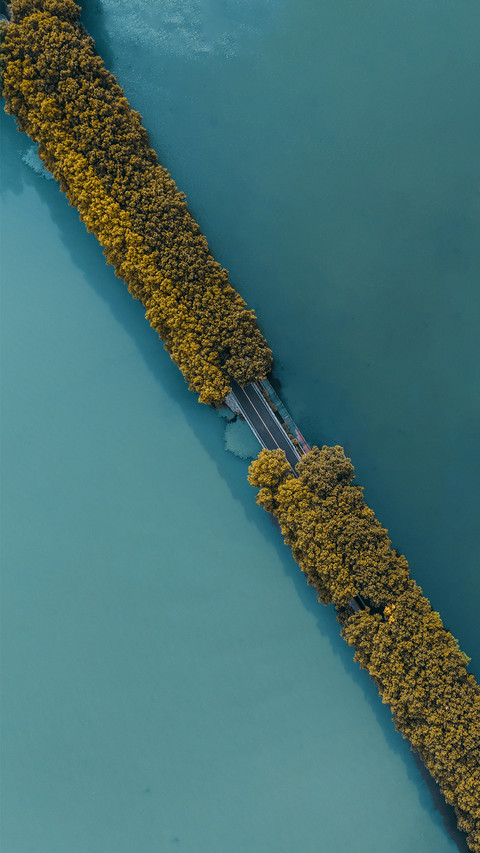 武汉东湖绝景 preview