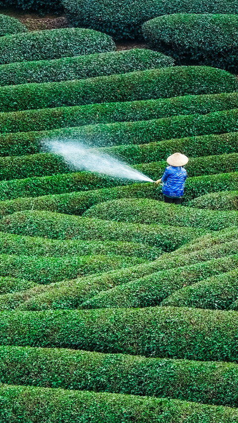 Working in the fields preview