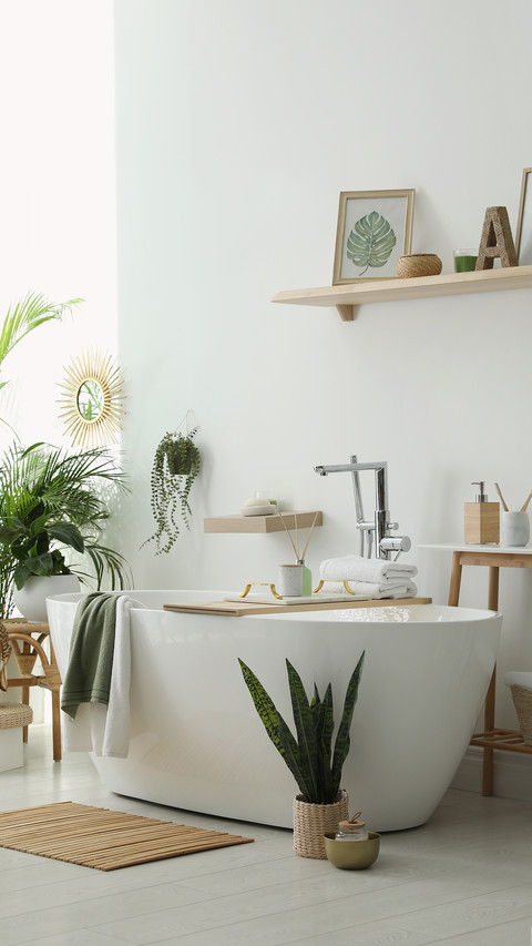 Bathroom with Modern Tub, Houseplants and Beautiful Decor preview