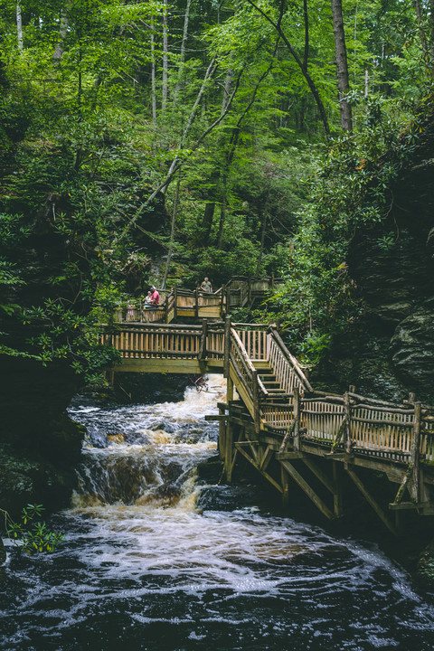 bridge-cascade-daylight-1293423 preview