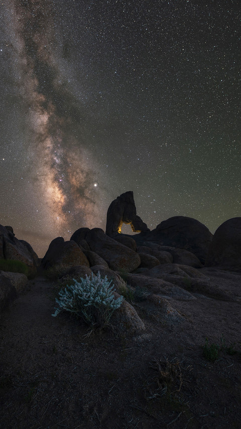 Milky Way Galaxy behind Boot Arch with a bush in front preview