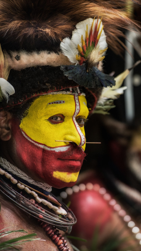 Tribal  (1) preview