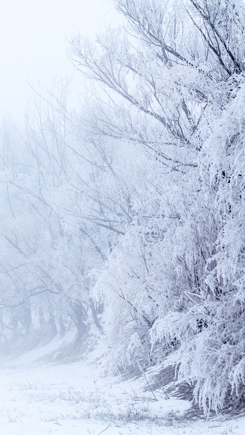 邂逅冬日雪景 preview