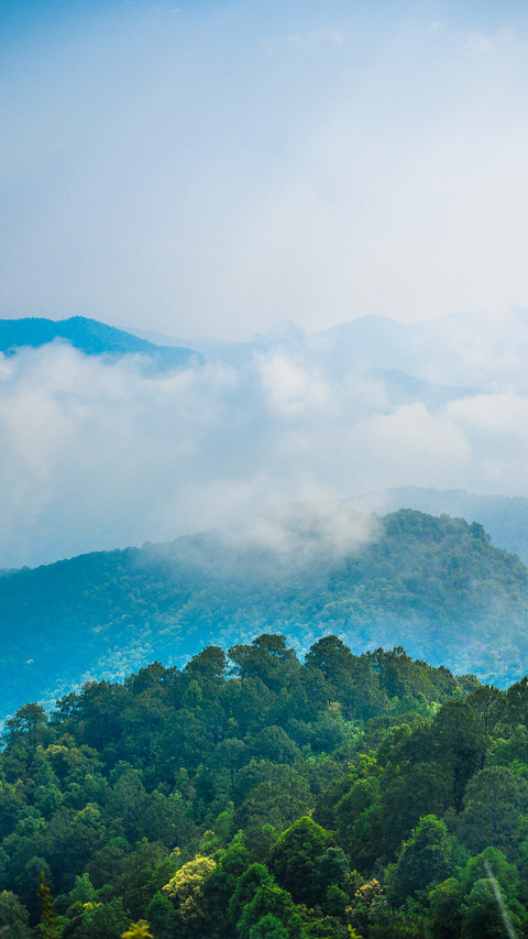 Clouds and mists entwine layer upon layer of green preview