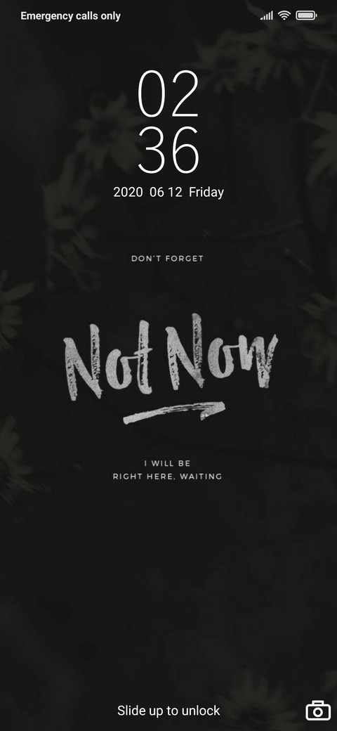 Night Flower v10. preview