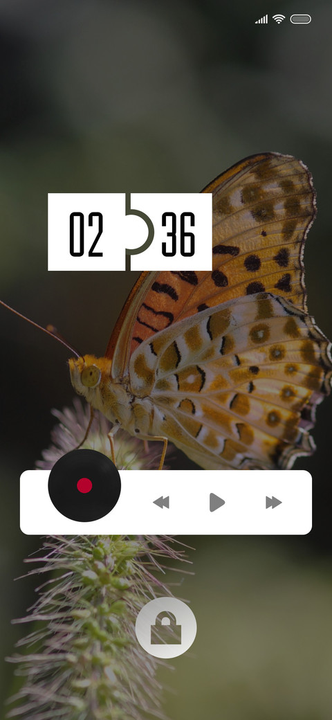ButterFly1 preview