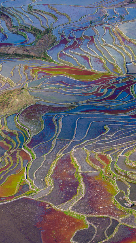 The light and shadow over the Yuanyang rice terraces are pic preview