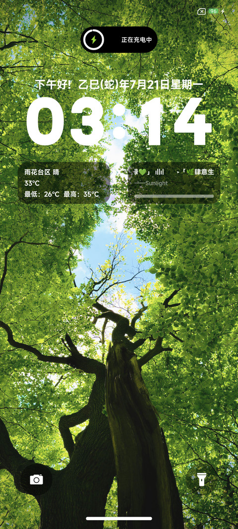 翠绿护眼夏天 preview