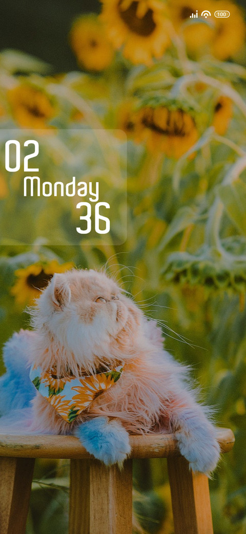 Furry cat preview