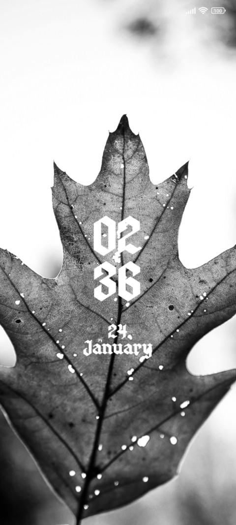 Winter Leaf preview