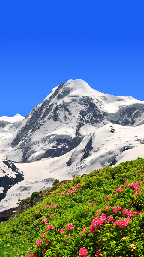 Summer in the Alps preview