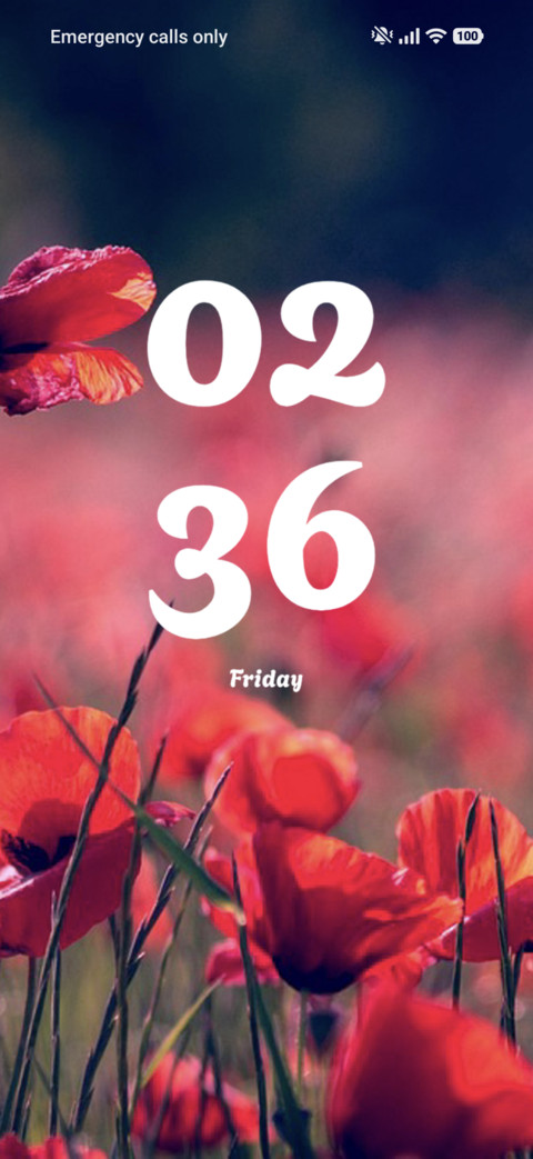 Poppies preview