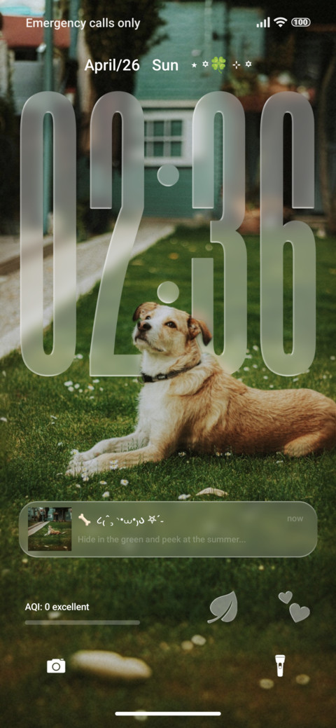 AJ Dog lovers preview
