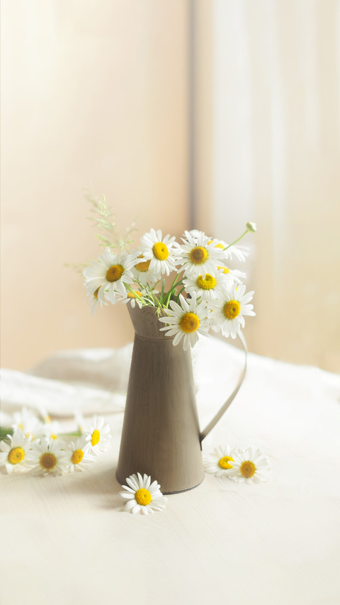 Bouquet of Chamomile Flowers in a Vintage preview
