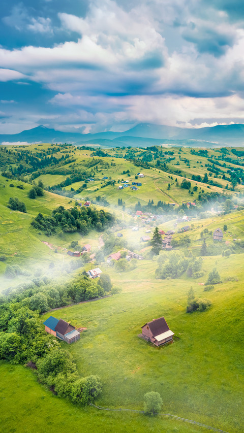 Fresh Green Scene of Stebnyi Village preview