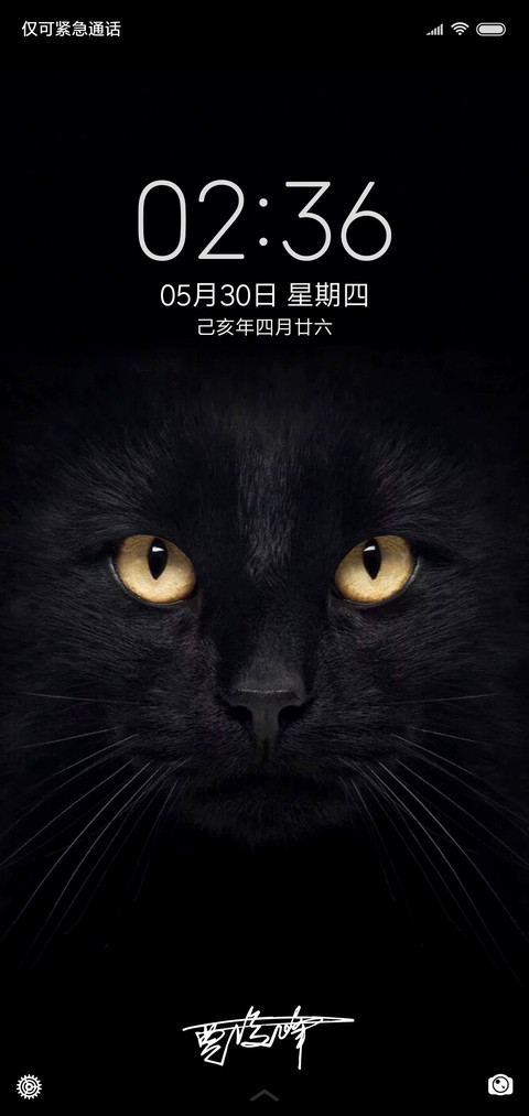 黑猫睁眼签名定制款 preview