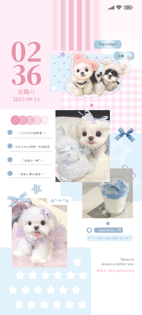 ins蝴蝶结小狗 preview