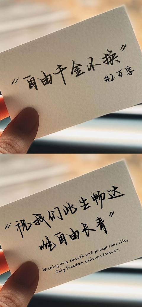 自由千金不换 preview