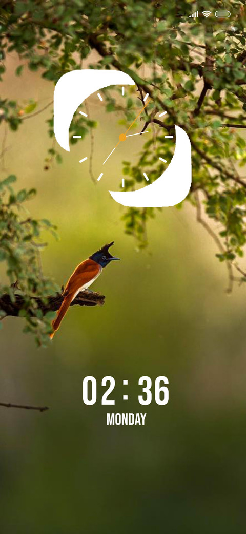 Nature Bird preview