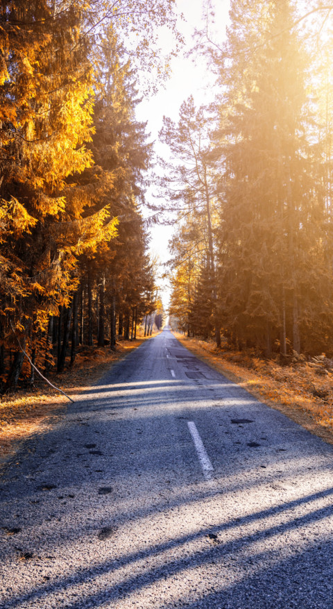 Roads & Pathways (23) preview