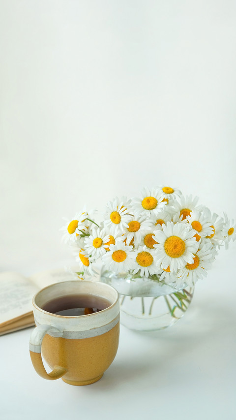 Herbal tea in cup and daisies in vase on white table preview
