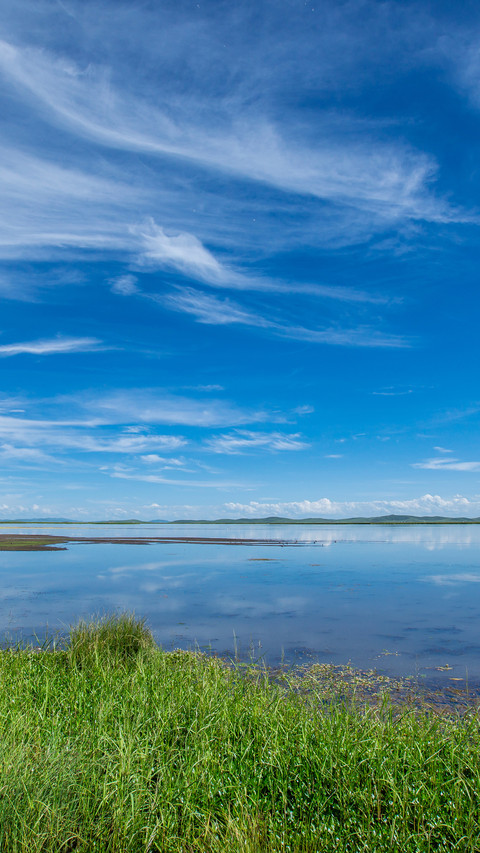 Wetland park preview