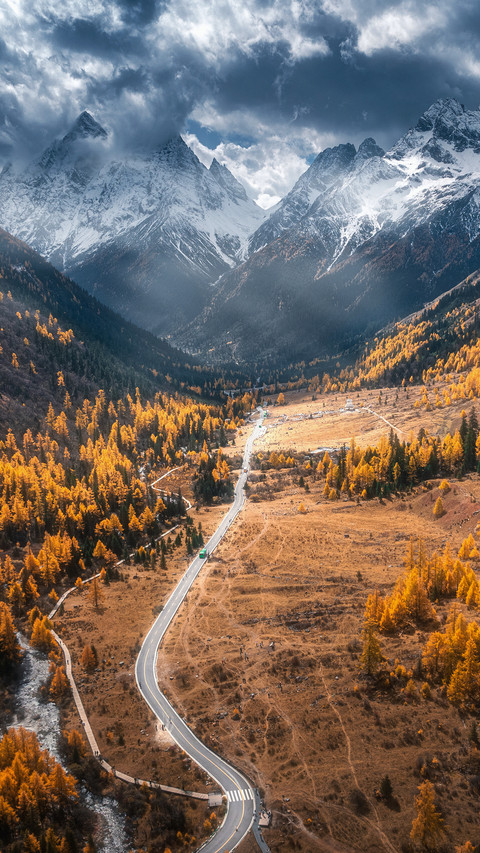 I want to go to dangling to enjoy the autumn scenery preview