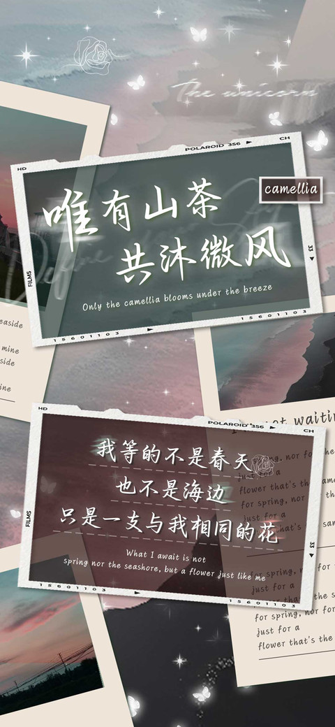 唯有山茶共沐微风 preview