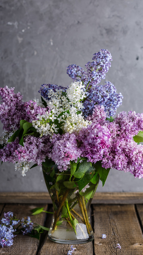 bouquet (9) preview