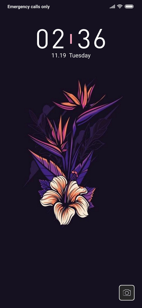 Dark Flower_DWM3 preview