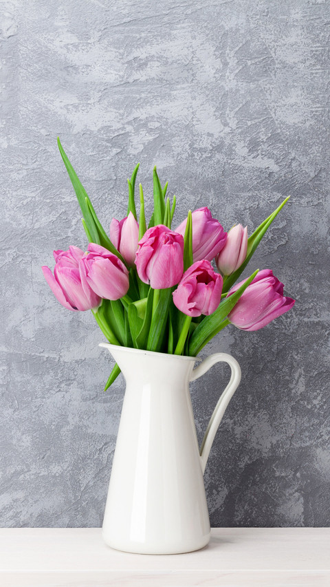 Maintenance manual for potted flowers 47 preview
