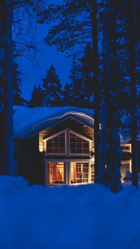 Winter Snowfield preview