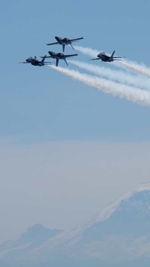 Aerial Predators (11) preview