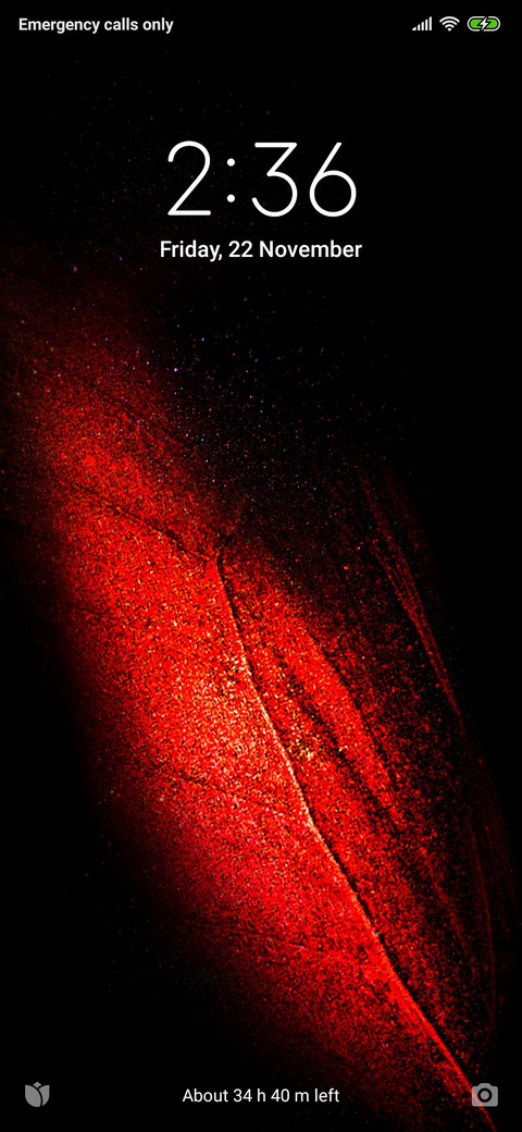 RedFox preview