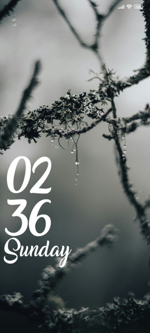 Fog preview