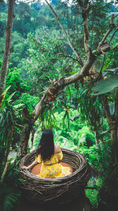 Indonesia (19) preview