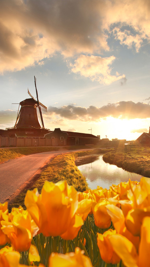 Windmill preview