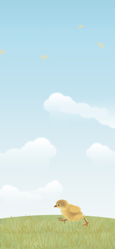 可爱好运小鸡 preview
