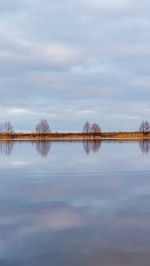 Lake in winter during sunrise preview
