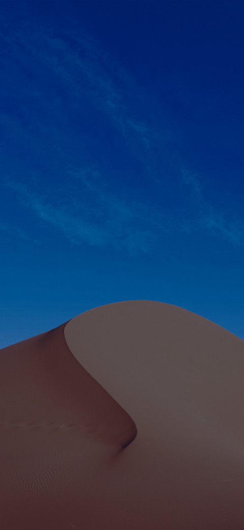 24H preview