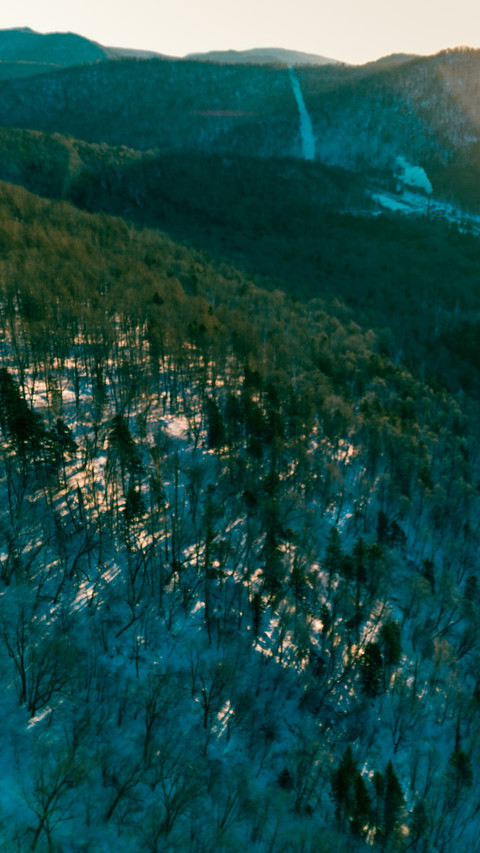 Snow Village Morning Twilight in the Sea of Forest preview