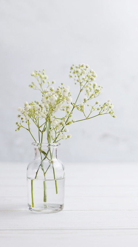 Paniculata branches in glass bottle on white wood floor preview