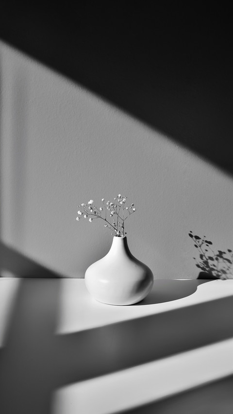 with small white flowers in geometric shadows from sunlight preview