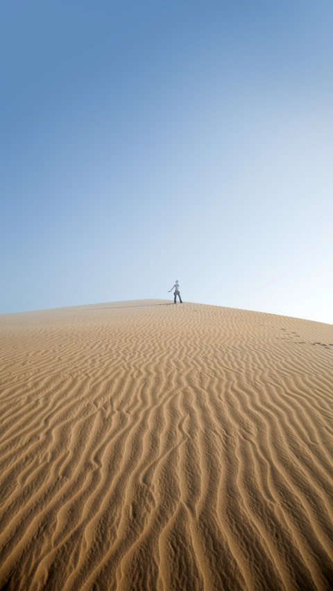 Pure Wind Desert preview