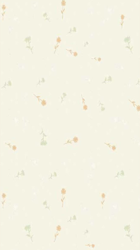 小清新 preview