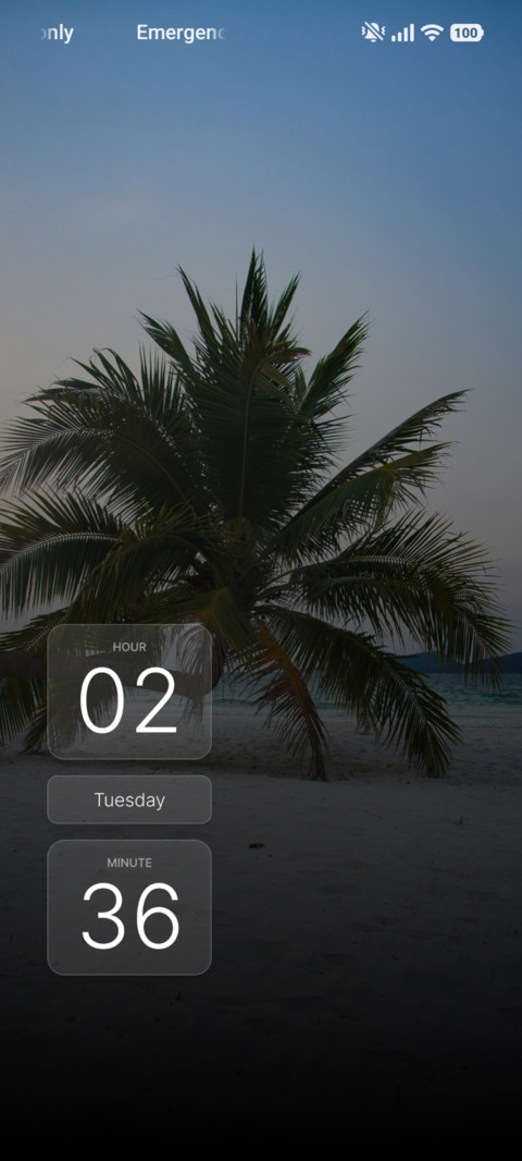 Twilight Palm preview