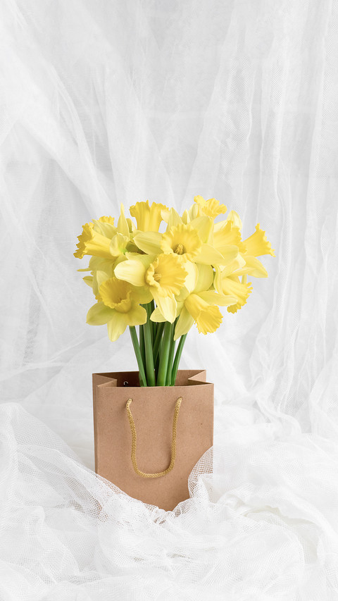 Beautiful bouquet of fresh yellow daffodils preview