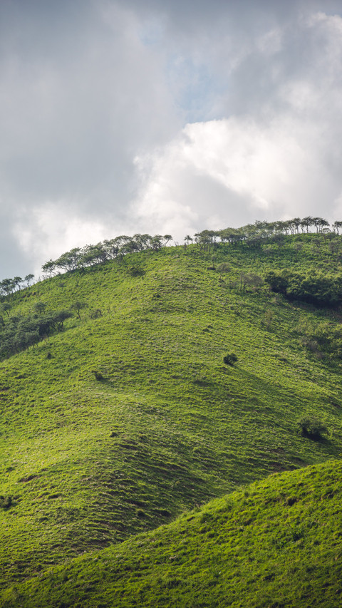 A pastoral song in the mountains and fields preview