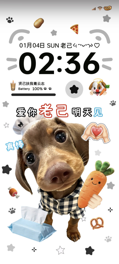 腊肠小狗 爱你老己 preview